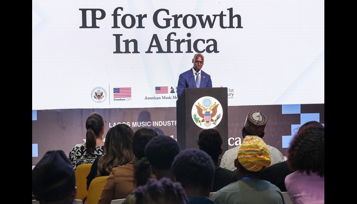 US seeks expanded funding for Nigerian creatives via IP protections
