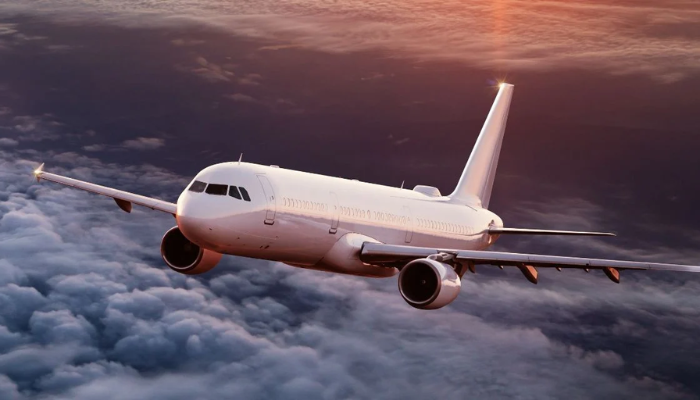 Nigeria Civil Aviation Authority, Air Peace, United Nigeria Airlines flight disruption report
