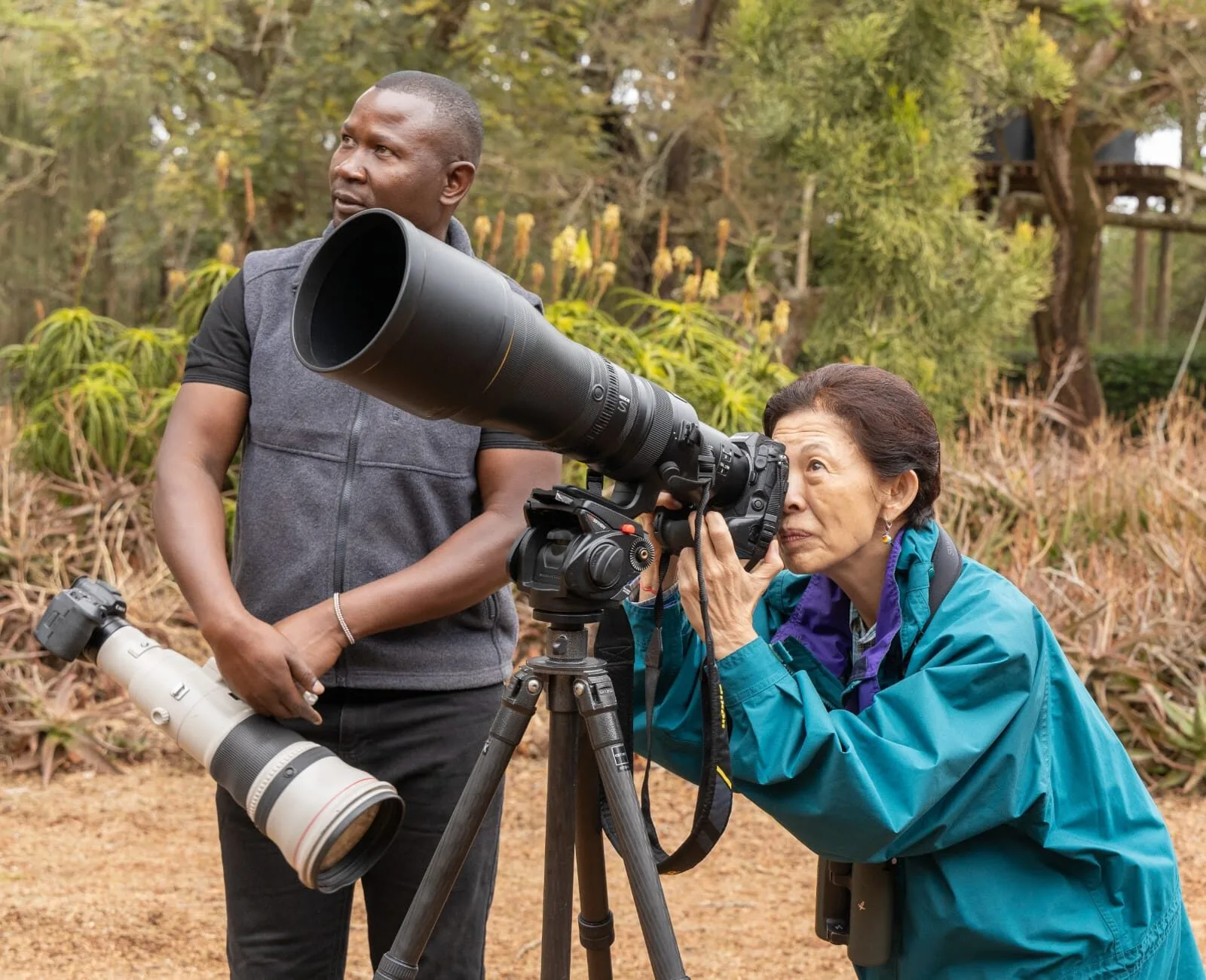 Kenya: Princess Takamado sights rare birds on Kakuzi birdwatching tour