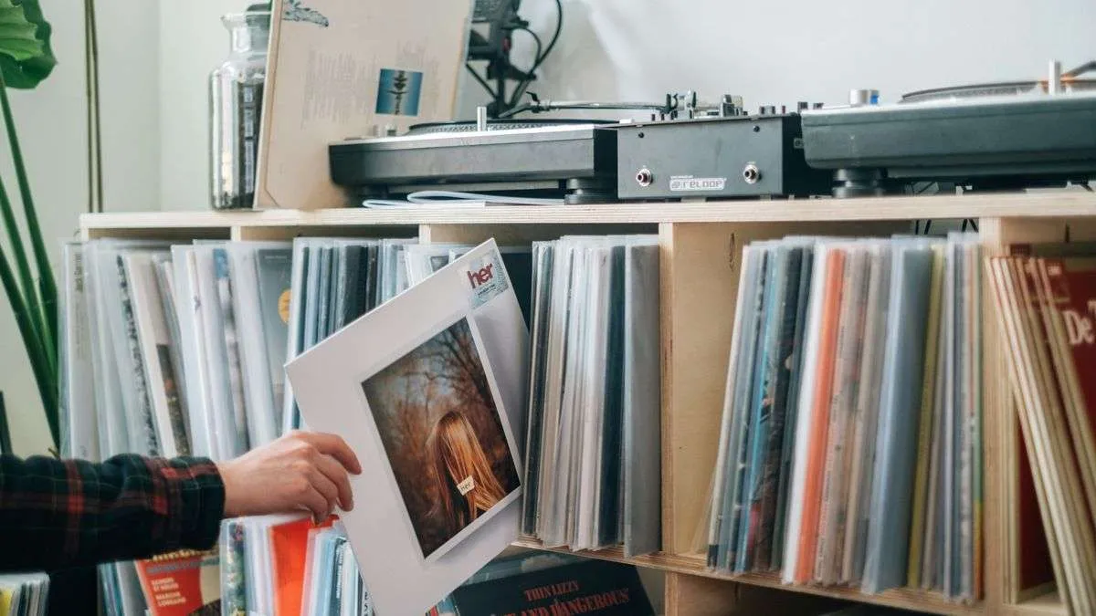 ValuePunks music publishing catalog valuation platform